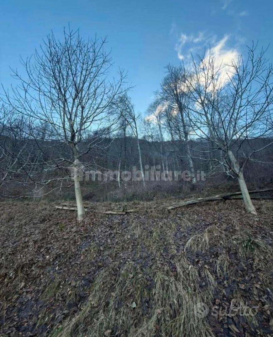 Terreno agricolo - Vista 4