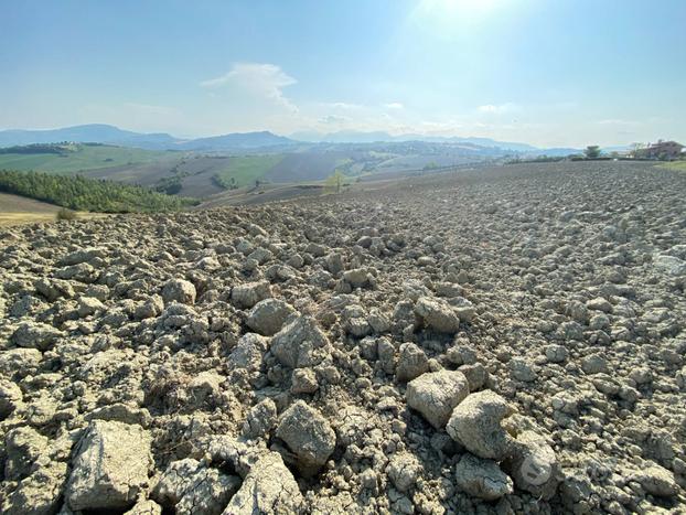 Terreno Agricolo - Falerone