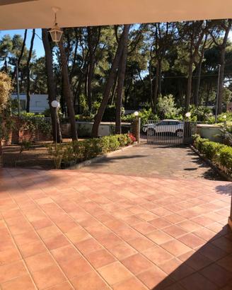 Castellaneta marina
