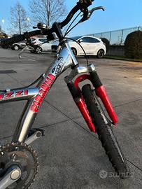 Bicicletta da bambino