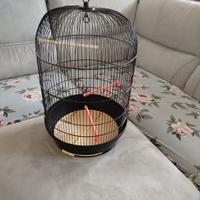 gabbia uccelli rotonda