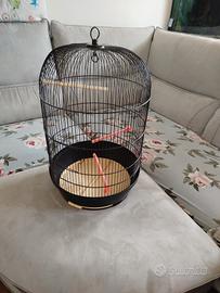 gabbia uccelli rotonda