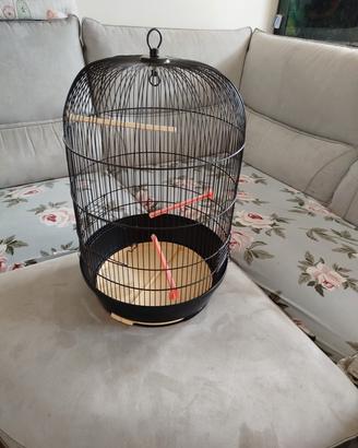 gabbia uccelli rotonda
