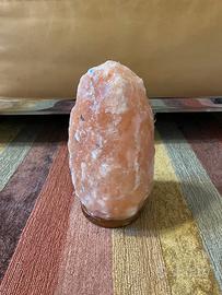 Lampada al sale rosa dell’Himalaya con lampadina.