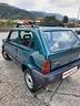 fiat-panda-1000-4x4-trekking