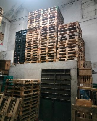 bancali pallet usati 
