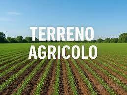 Terreno di 40490 m² a San Possidonio