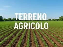 Terreno di 40490 m² a San Possidonio