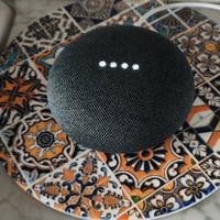 Google Nest Mini