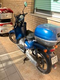 Aprilia scarabeo 50