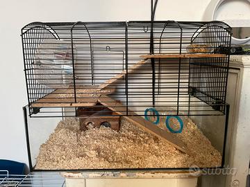 gabbia per criceti