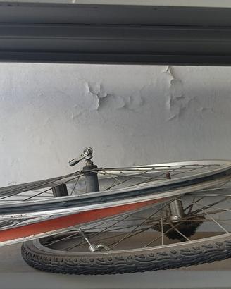 Cerchi bicicletta
