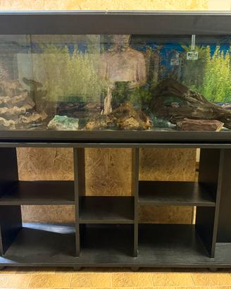 Acquario