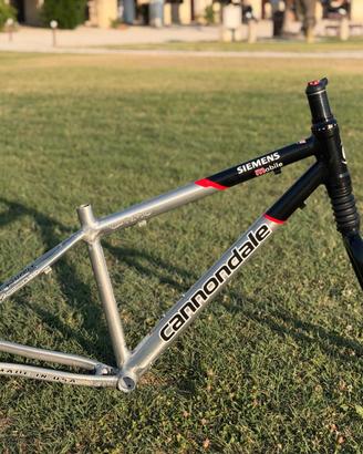 Cannondale Siemens Optimo Fatty DLR - Taglia S
