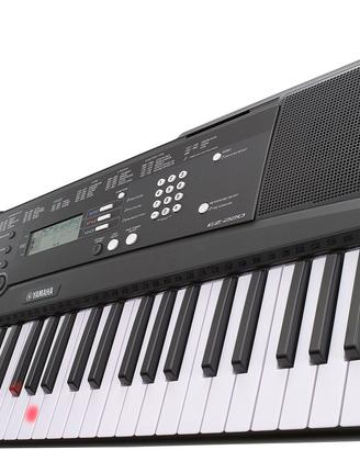 Yamaha EZ-220
