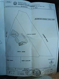 Cascina indipendente con terra due appartamenti