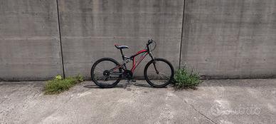 Mountain bike Casadei 24