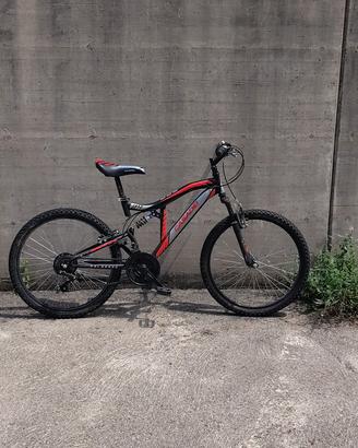 Mountain bike Casadei 24