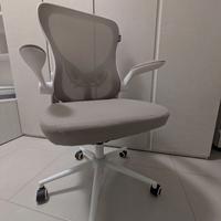 Sedia Ufficio Ergonomica Grigio e Bianca