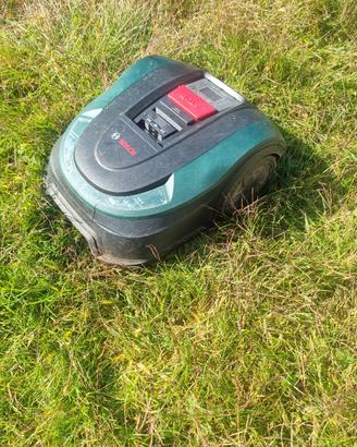 taglia erba elettrico bosch