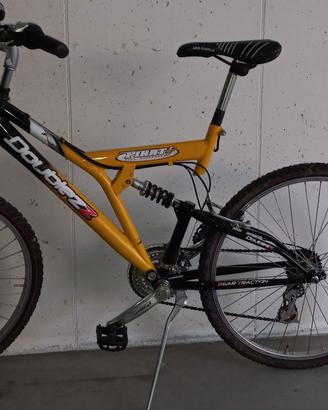 bicicletta