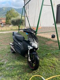 Gilera runner sp 50