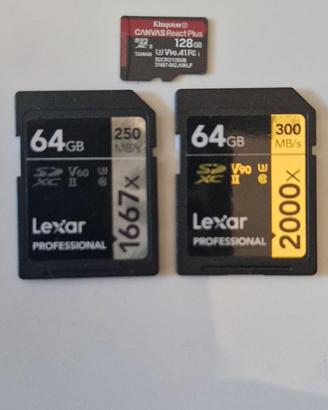 Shede di memoria KINGSTON -LEXAR