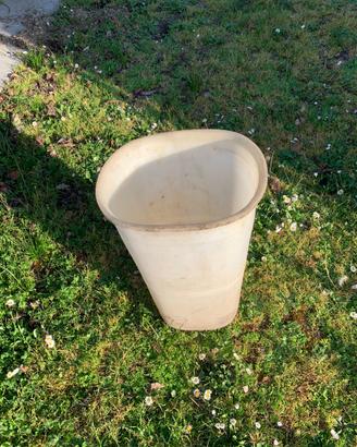 Bigoncia Toscana per uva in plastica n. 10 pezzi