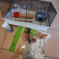 Gabbia per criceti/cavie peruviane