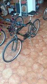 bici Mountain bike 