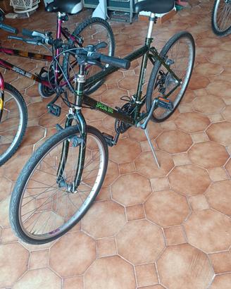 bici Mountain bike 