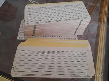 Schede perforate vergini