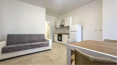 Bilocale arredato, ristrutturato a nuovo, con post