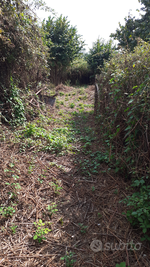 Terreno agricolo - Altro