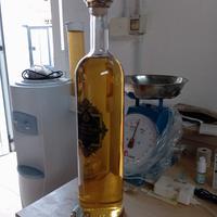 grappa 