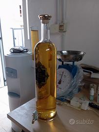 grappa 