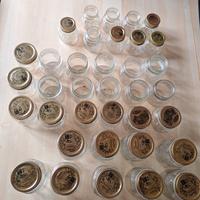 barattoli vetro conserva quattro stagioni 