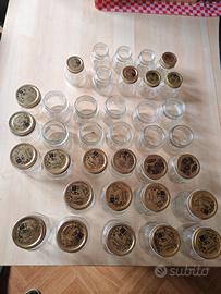 barattoli vetro conserva quattro stagioni 