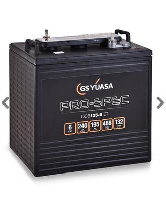 Batterie da trasione per golf cart