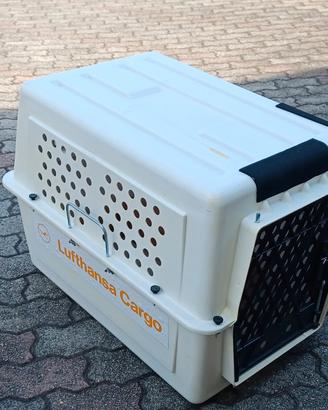 trasportino cani per auto