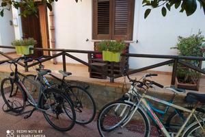 IL GIRASOLE Casa Vacanze 