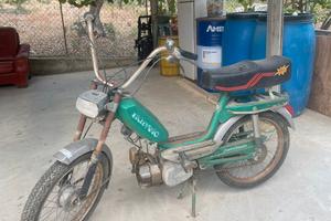 Italvelo