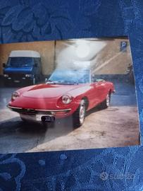 Alfa Romeo Spider Duetto 1600 anno 1981