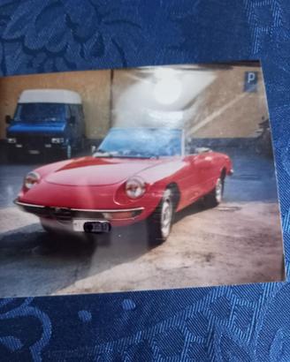 Alfa Romeo Spider Duetto 1600 anno 1981