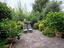 Immagine 18