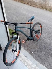 mountain bike