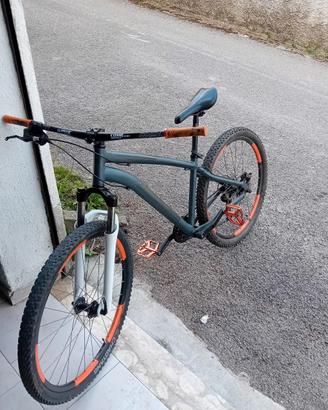 mountain bike