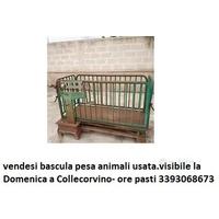 bascula pesa animali