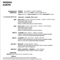 Aiuto cuoco -Manovale-Saldatore