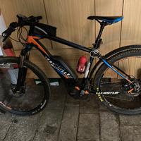 Ebike